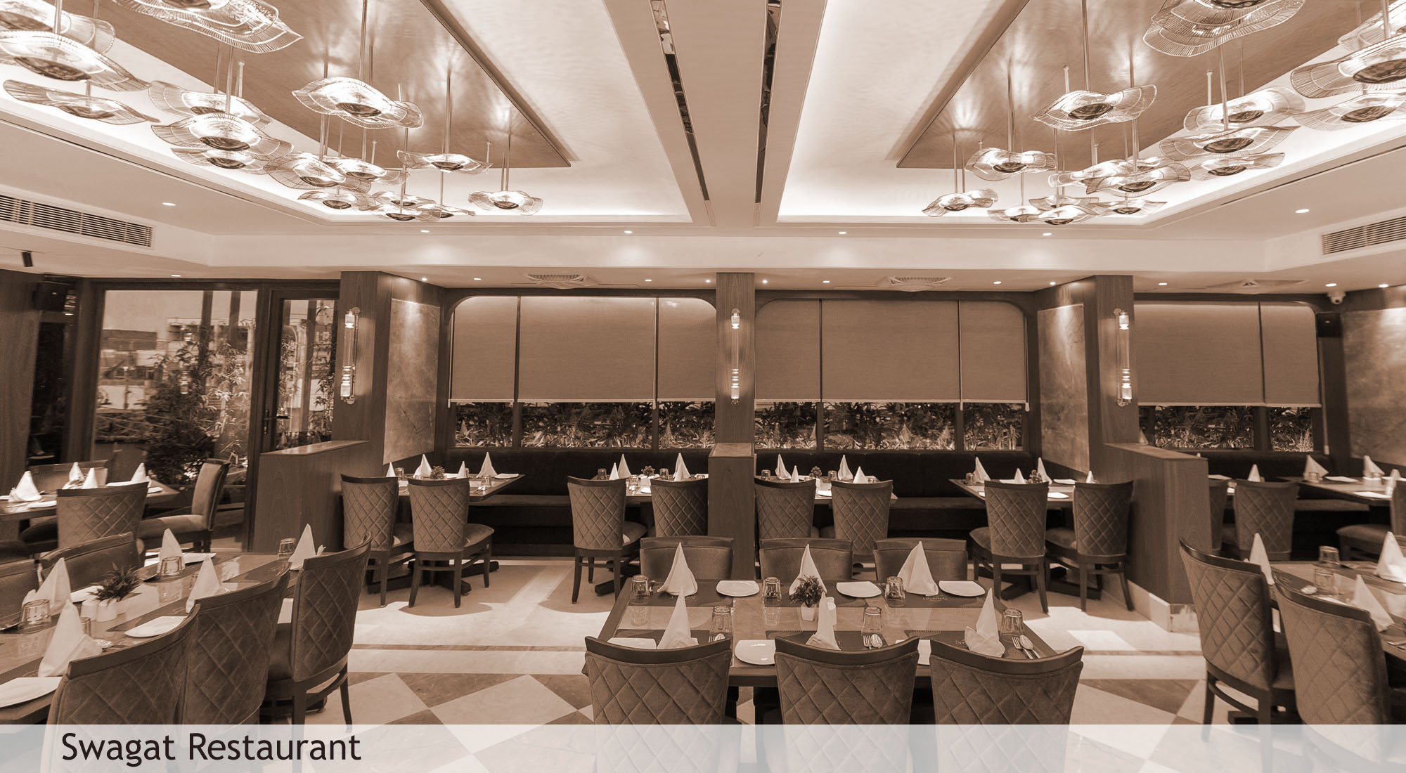 delicious food and fine dining experience