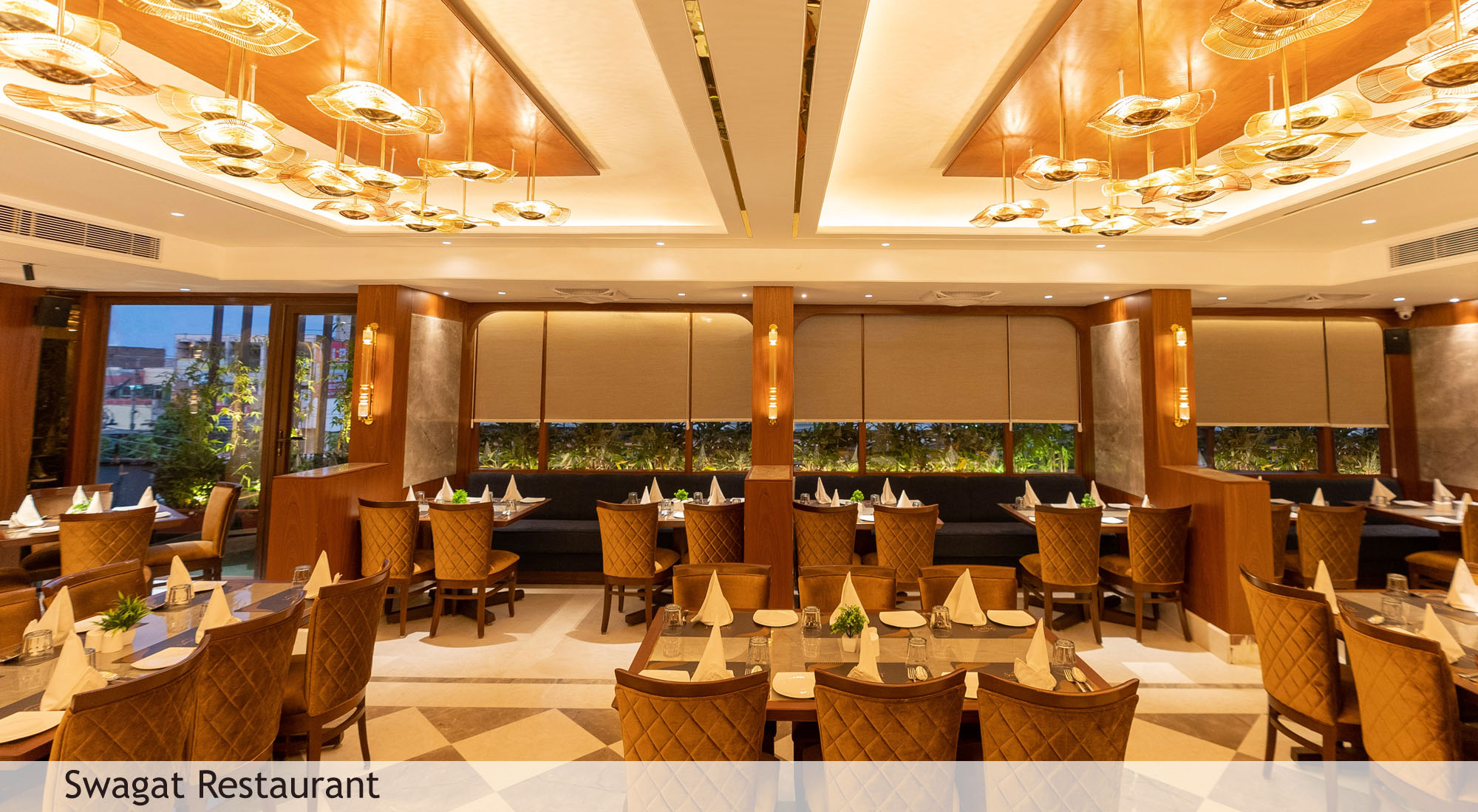 delicious food and fine dining experience