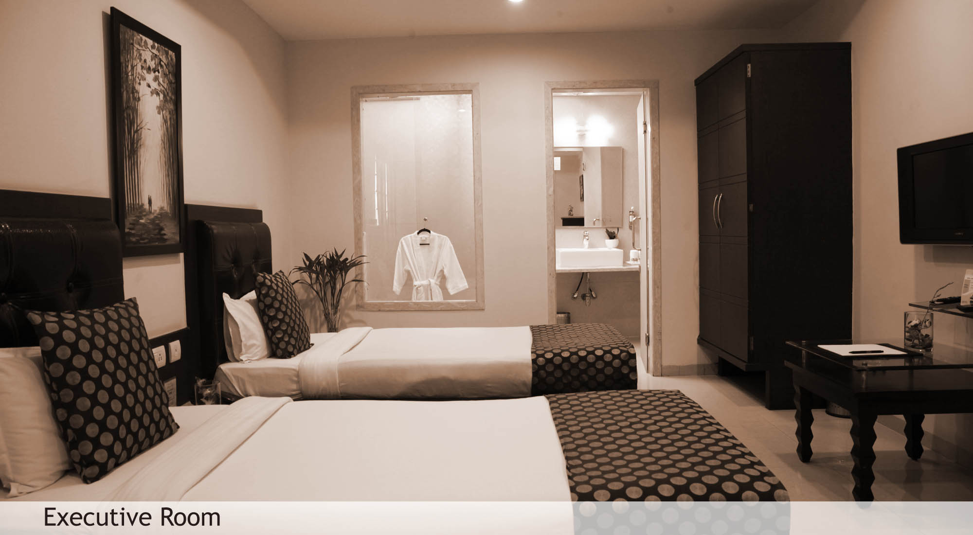 luxury hotels in Kota