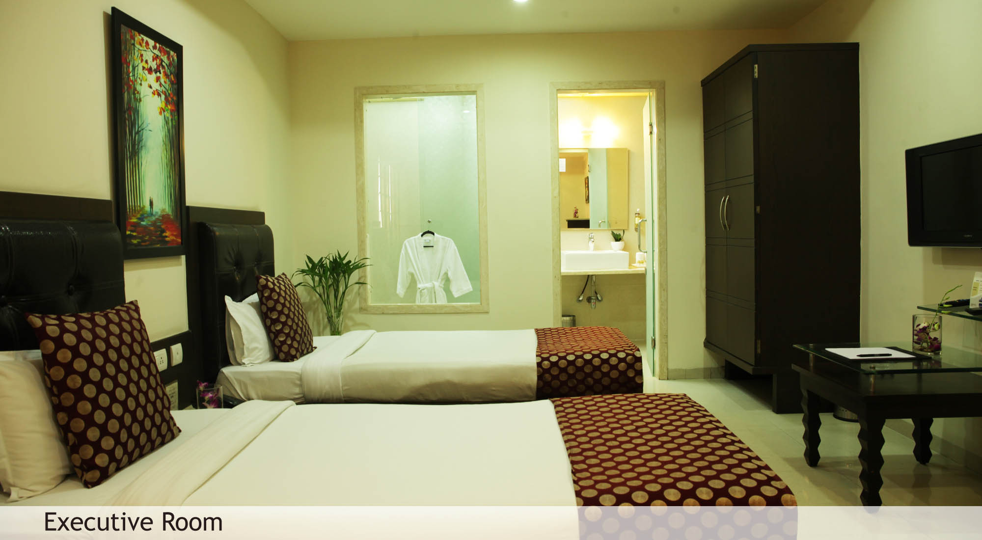 luxury hotels at Kota