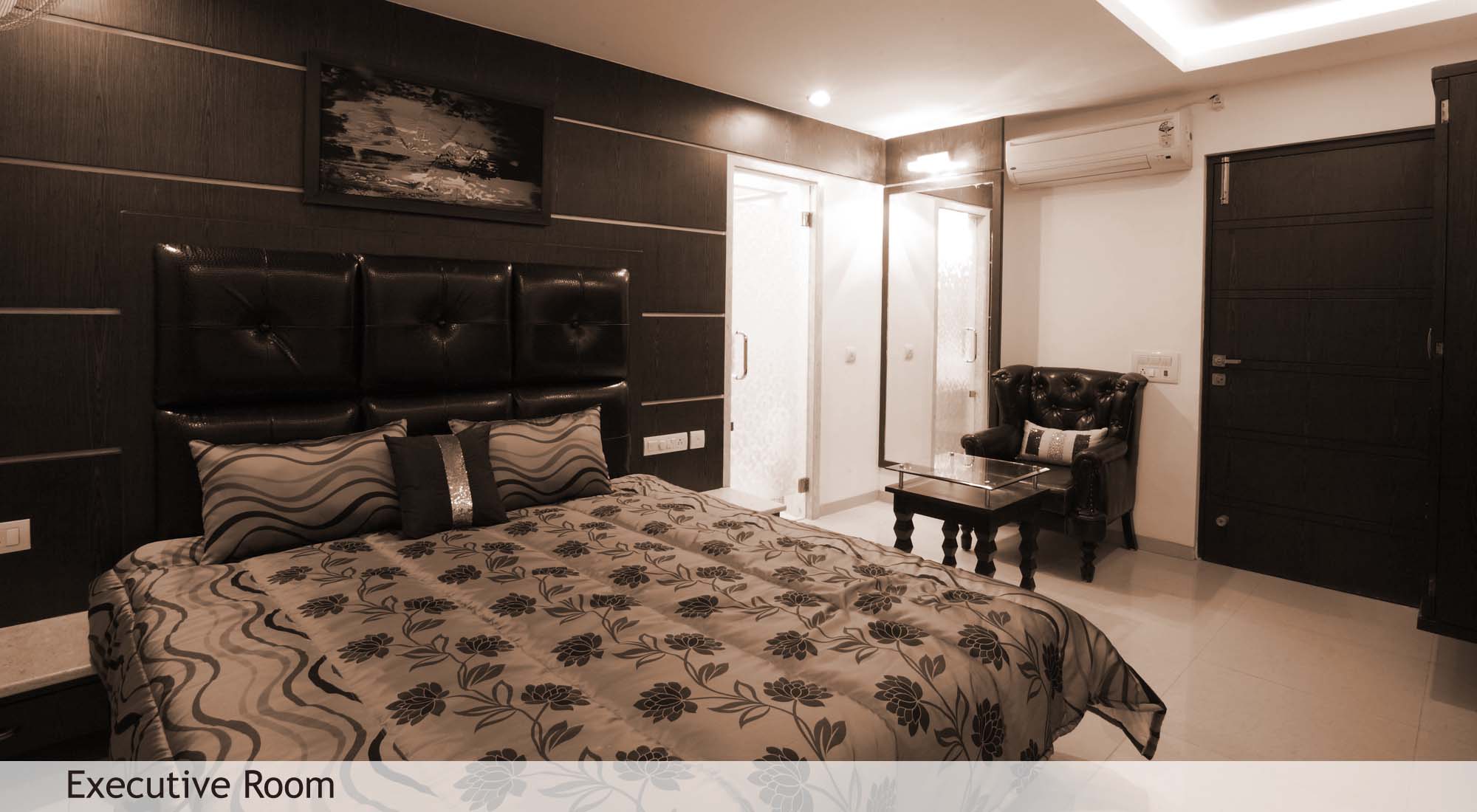 contemporary style and luxury hotels in Kota