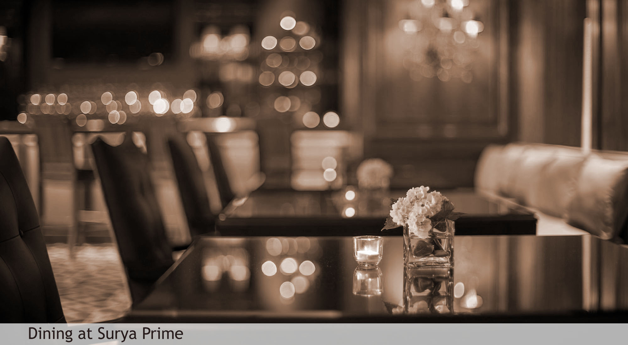 restaurant in Kota